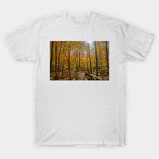 Footbridge in the Autumn Woodland T-Shirt